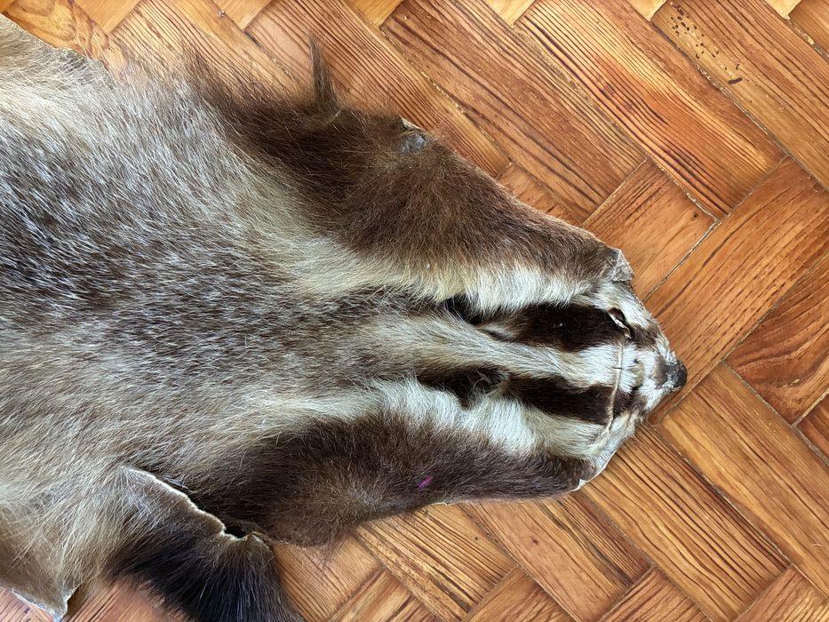 Pele de Texugo Verdadeiro