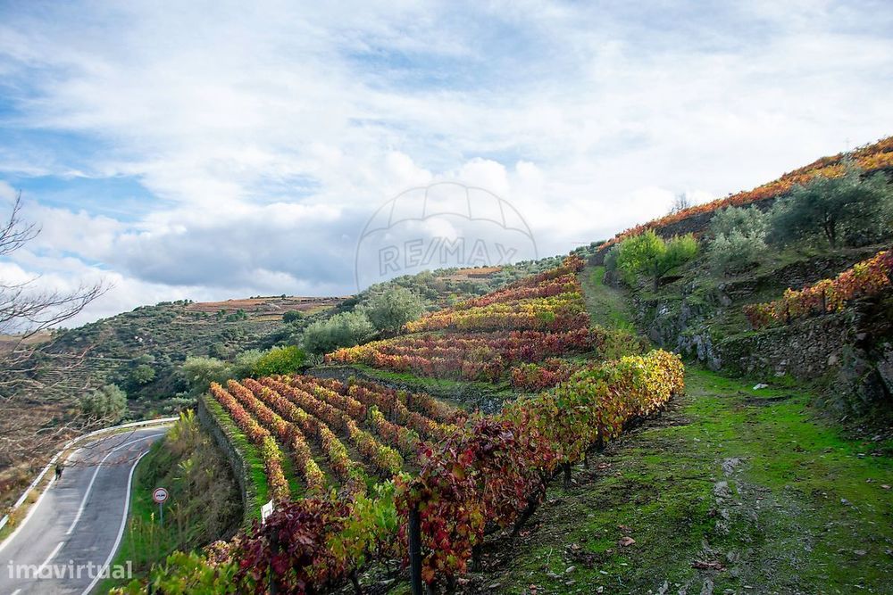 Terreno  para venda