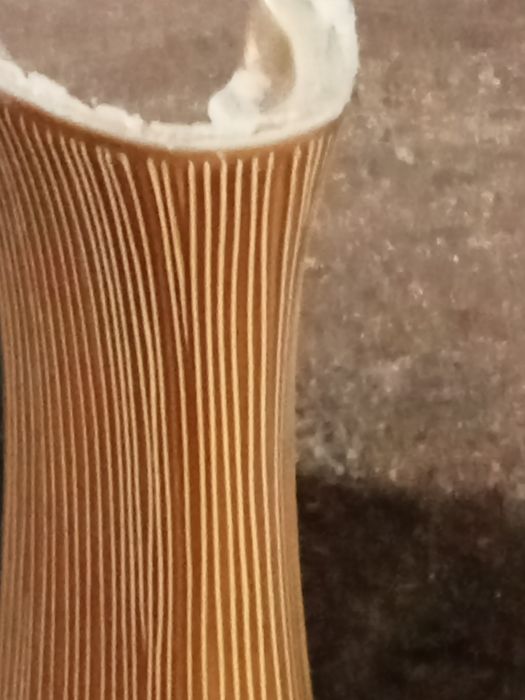 Vendo espelho de casa de banho, um lavatório, e uma sanita.