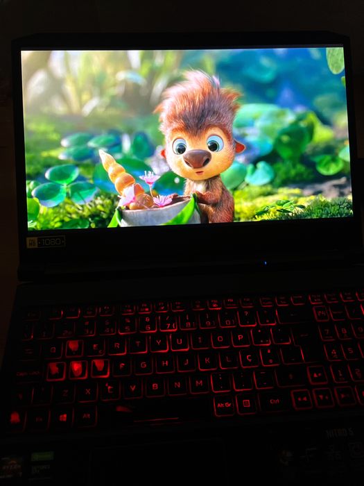 Acer Nitro 5 GTX 1650