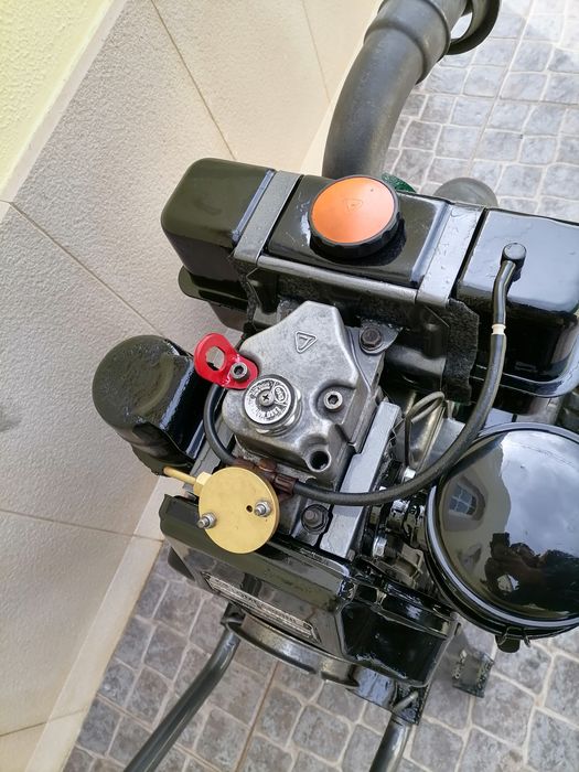 Motor de rega lombardine