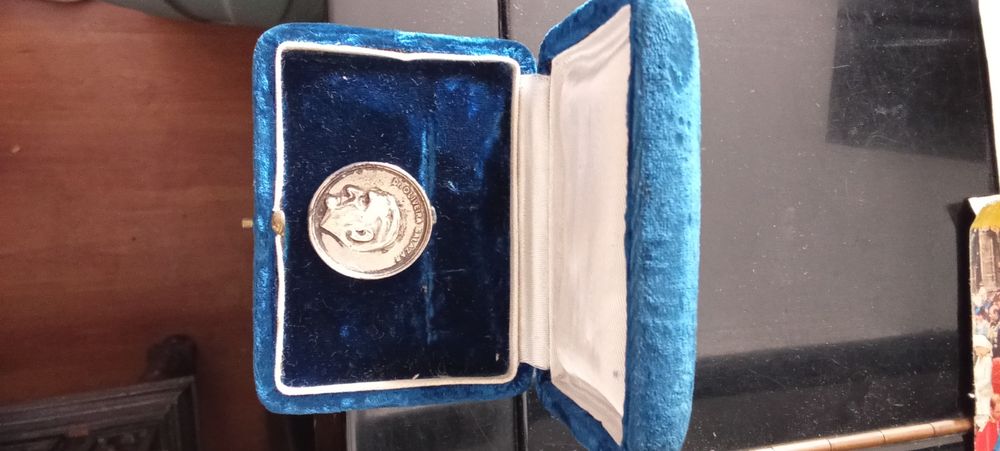 PAR LUVAS PUGILISMO Profissional. 8 Fotos