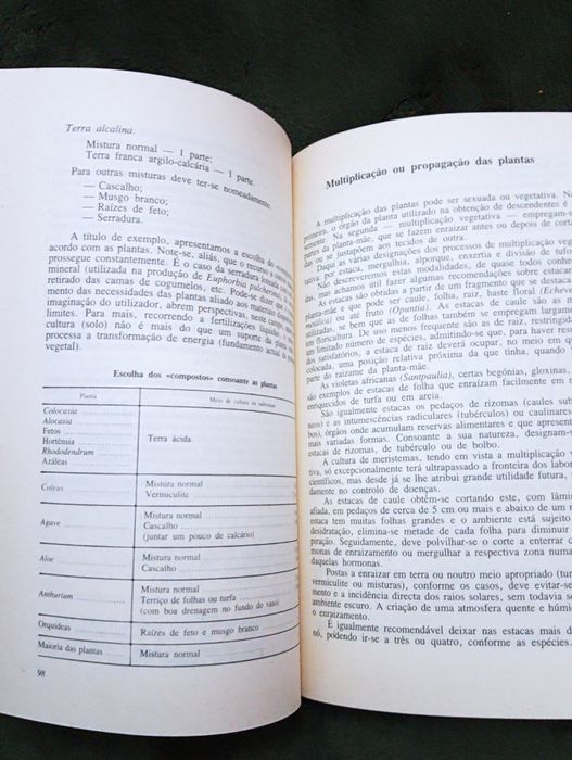 Horticultura e floricultura - Sousa Veloso/J Garrido/Bettencourt Raro*