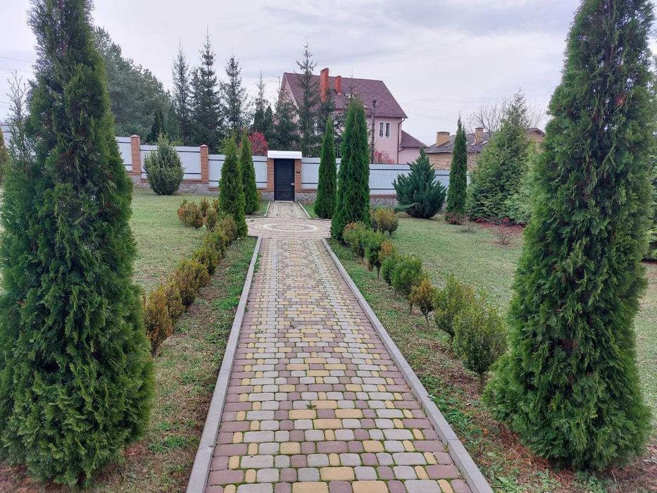 продам будинок пгт Високий