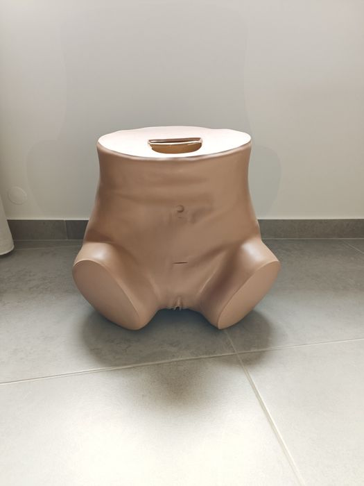 Simulador ginecológico "ZOE"