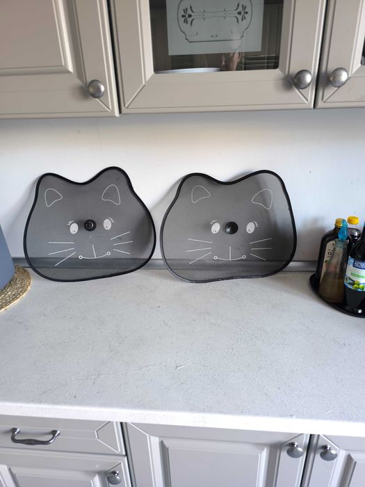 Zacieniające osłony na okna