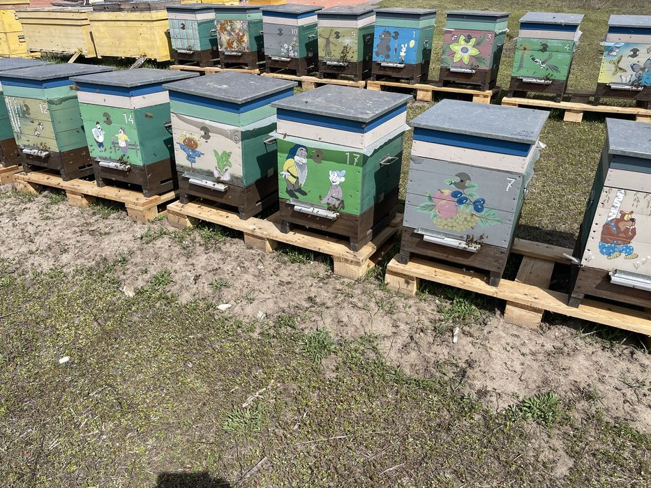 Бджолосімʼї  разом з вуликами