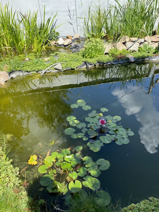 Продам приватний будинок.