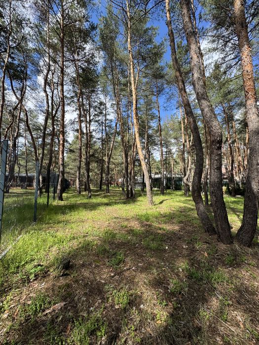 Продам ділянку Сосновий Берег. Обухівка