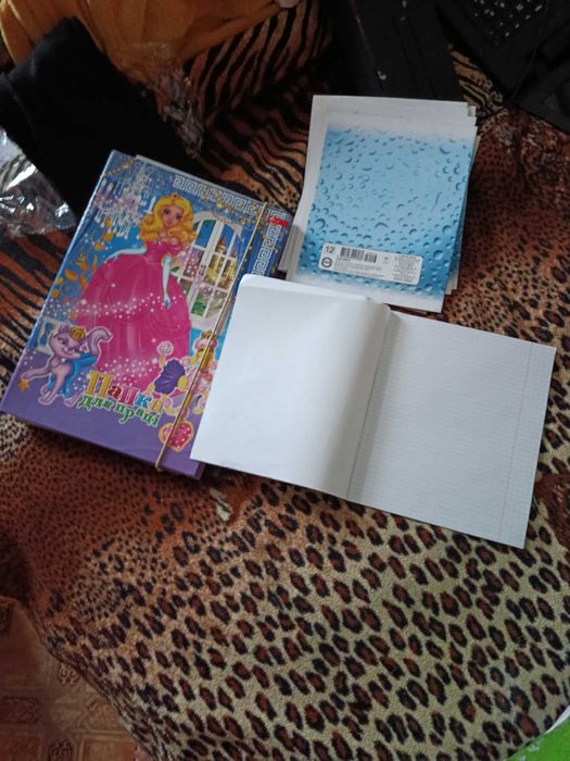 Папка +тетради школьные