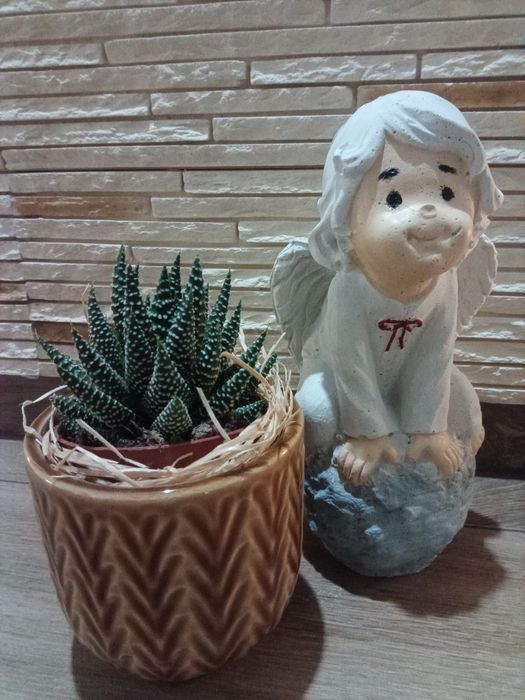 Gipsowy anioł , gipsowe figurki, aniołek , prezent, upominek. Podzięko