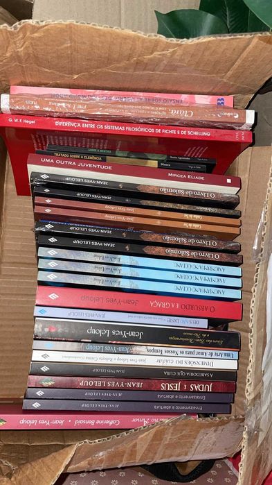 Livros novos e seminovos