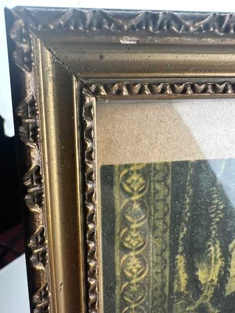 Obrazek w ramce arras strusie  30.5 cm X 20 cm