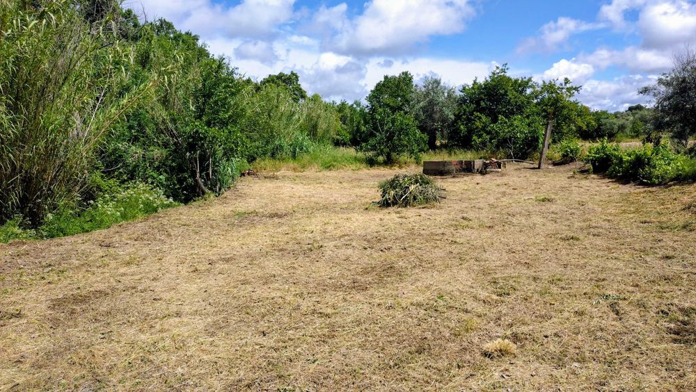Terreno rustico 500m2 em Touloes Idanha-a-Nova