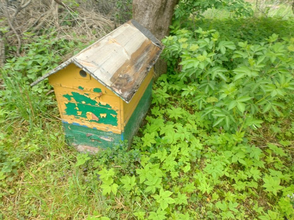 Sprzedam ule lub zamienię na rodziny pszczele