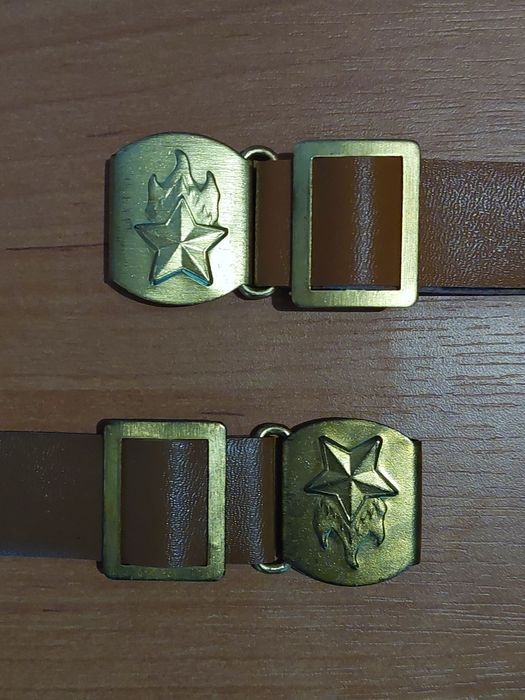 Dwa brązowe paski pionierskie