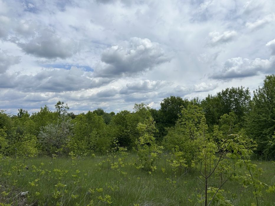 Земельна ділянка 6 га! Кагарлик!