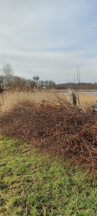 Wynajem rębaka, rozdrabniacza do gałęzi wraz z obsługą