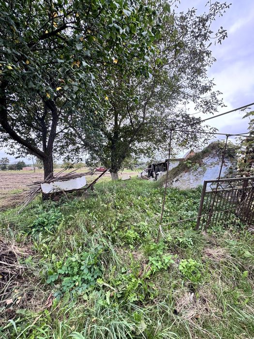 Продаж ділянки 50 сотих с.Романів