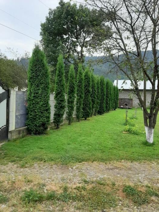 Будинок для відпочинку Карпатія