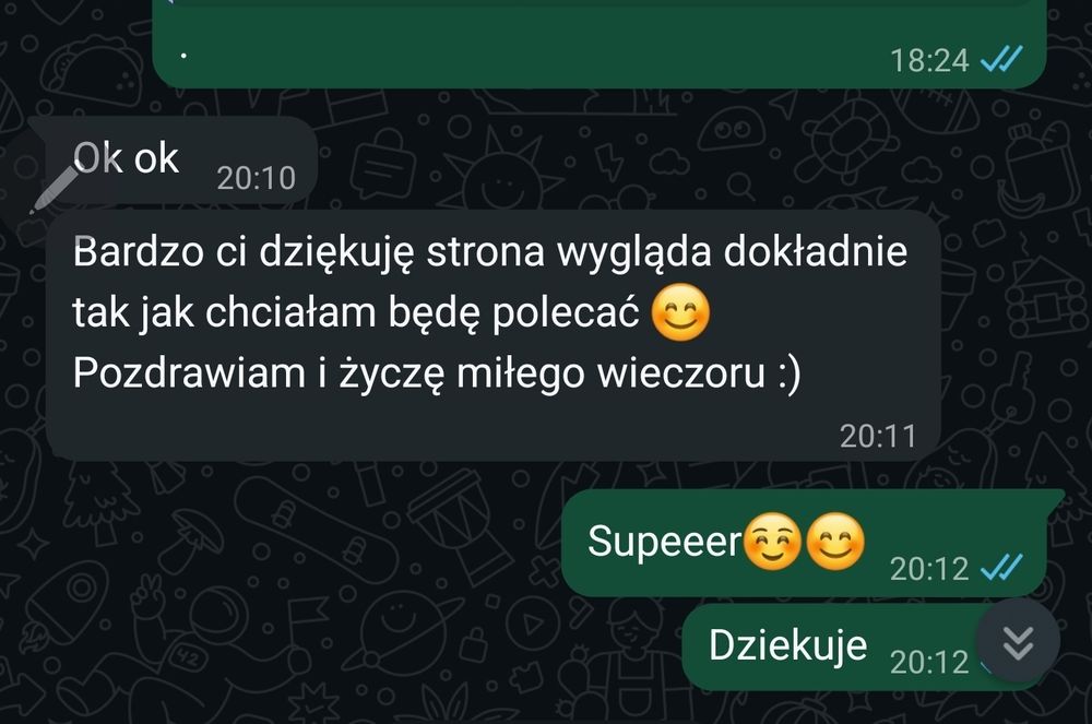 Strona internetowa w 2 dni