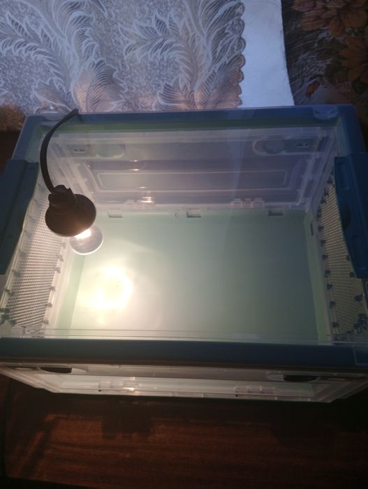 Террариум  акриловый