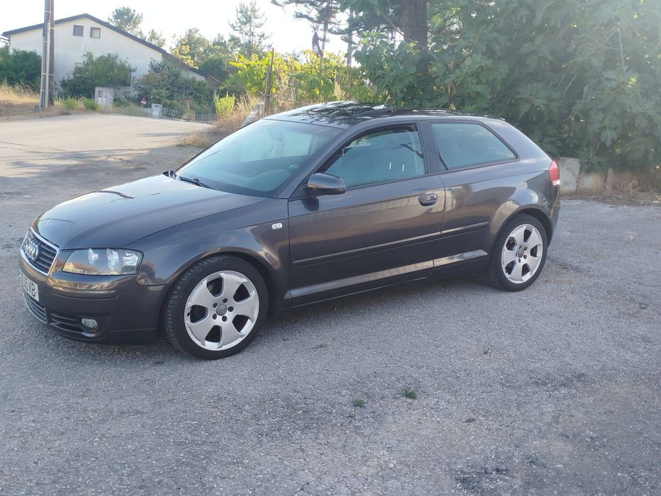 Audi A3 8P 2.0 TDI