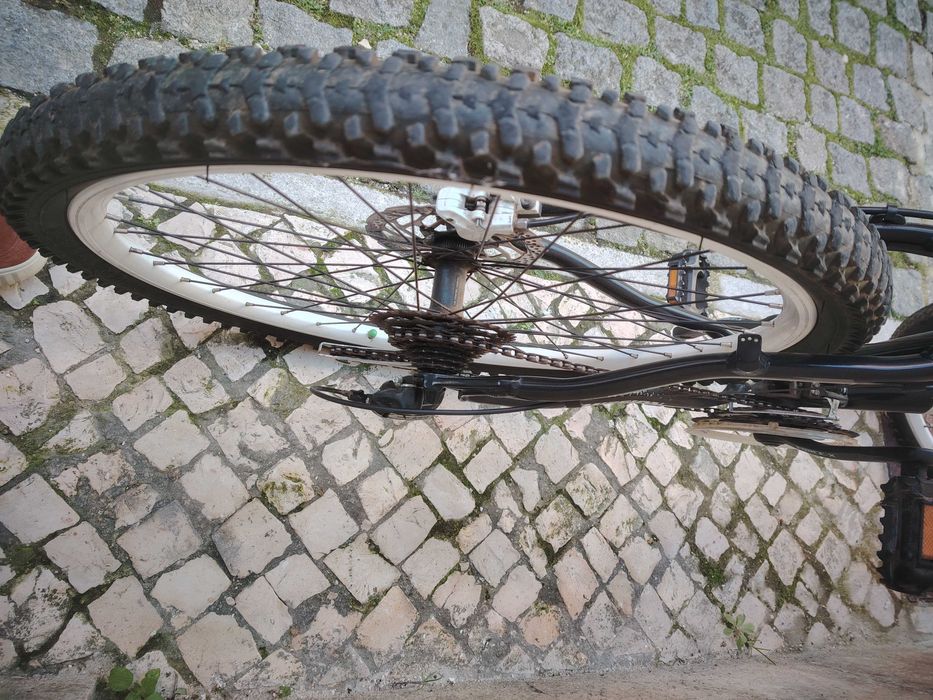 bicicleta quër de adulto