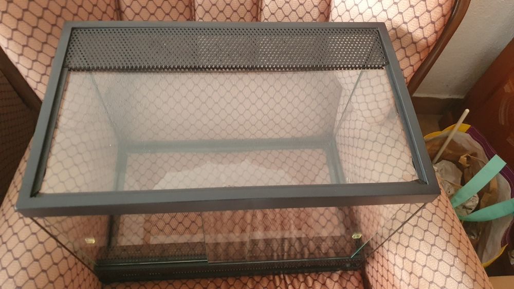 Vários terrarios para répteis para sair