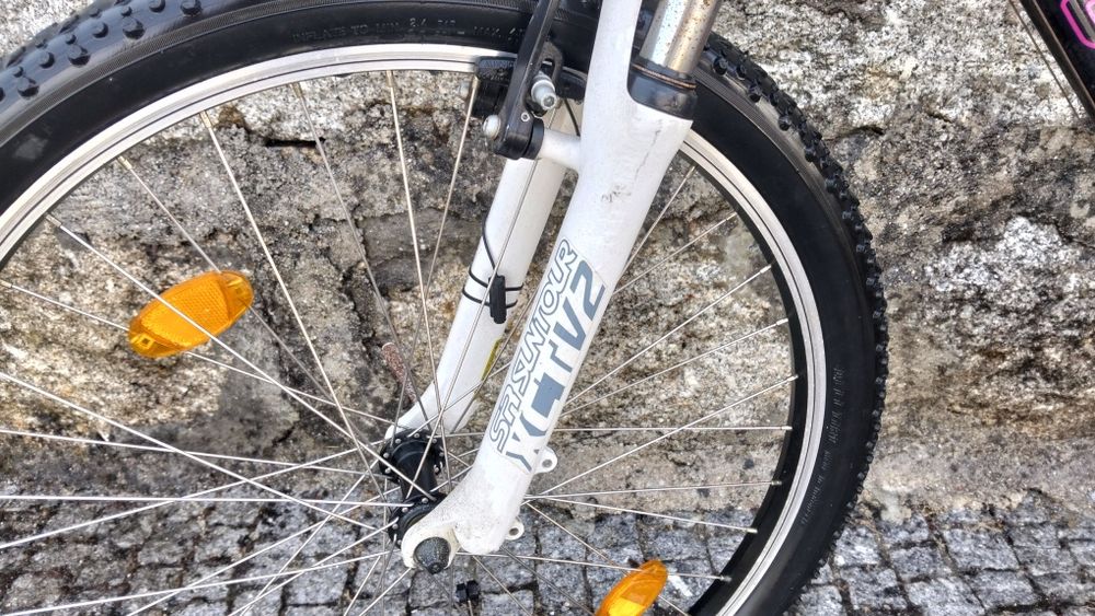 Bicicleta Berg Torah 3.0