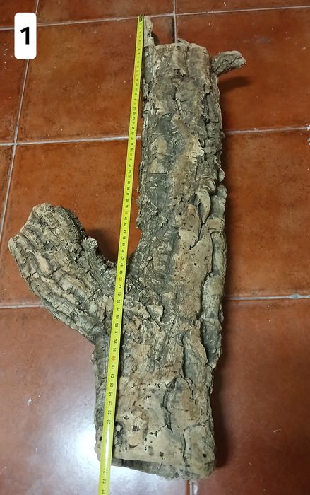 Cortiça para terrario ou decoração