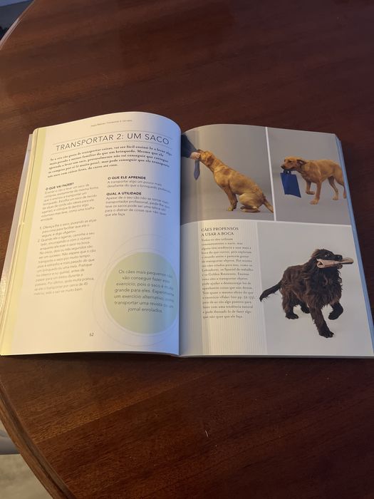 Livro para treinar o seu cao