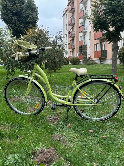 Rower miejski Dutch Goose 28"