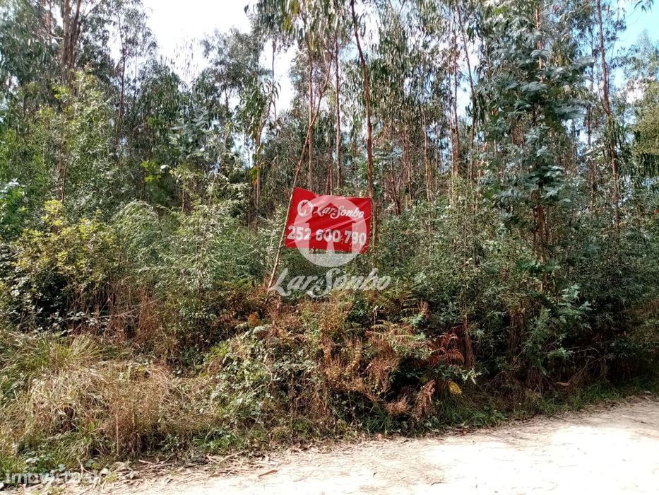 Terreno Florestal com 10.000m2 em Tougues - Vila do Conde — Retorta E Tougues, Porto