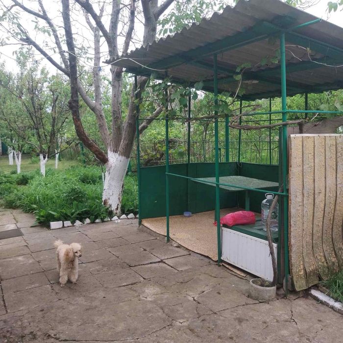 Продаю дачу Костянтинівка Южний Буг