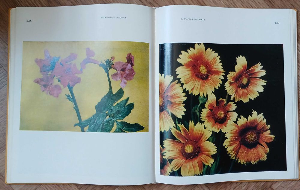 Книга-альбом "Цветы", Киев 1972 г.