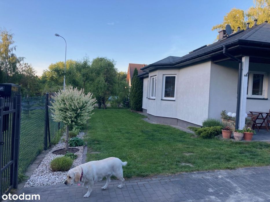 Parterowy dom 150 m² - 1000 m² działki  - 2 garaże - bezpośrednio