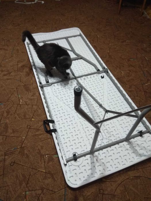 стіл розкладний 180см пластиковий білий садовий, раскладной стол