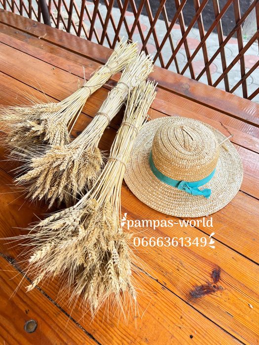 Сухостій, камиш , декор, очерет, пампасна трава