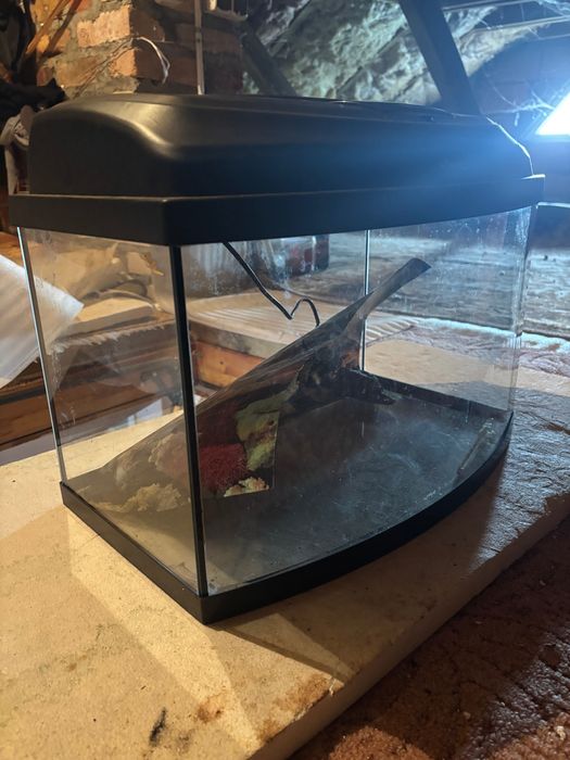 Akwarium Aquael 39l KOMPLETNE