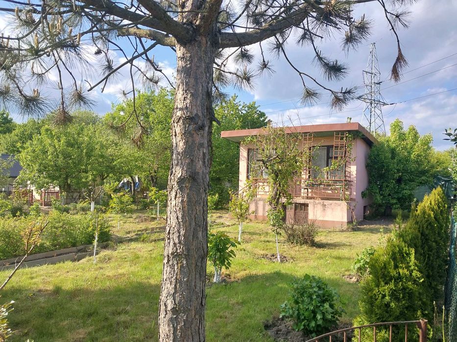 Działka rekreacyjna z murowanym domkiem - ROD Magnolia Morcinka Kielce