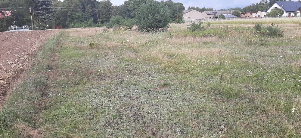 Działka budowlana Stanisławów Nowy - Więcej