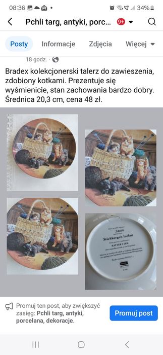 Seltmann Weiden, kolekcjonerski talerz zdobiony kotkami. Prezentuje si