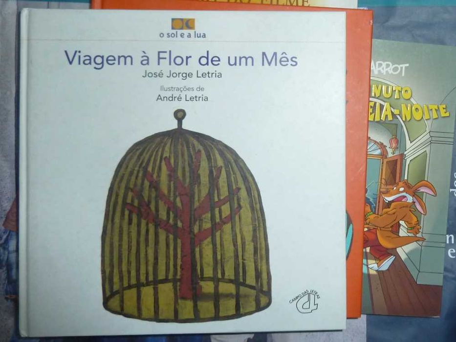 Viagem à Flor de um Mês, Jorge Letria