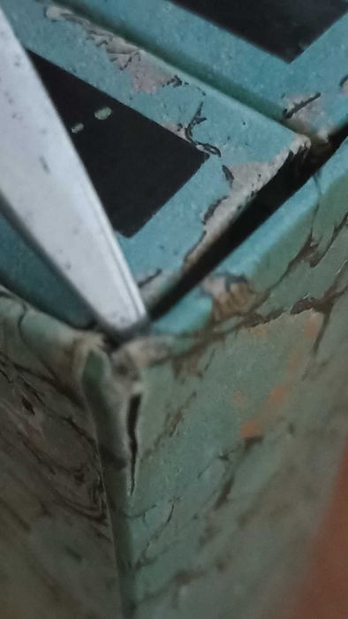 Theatrum Rerum Naturalium Brasiliae, Brasil - Holandês (2 volumes)