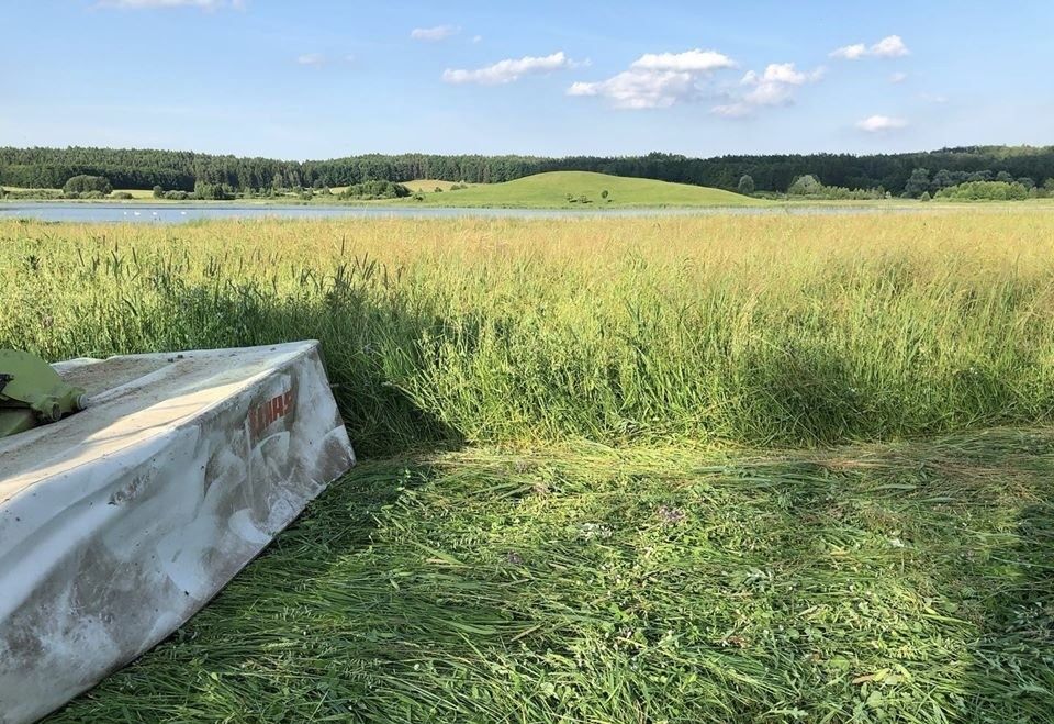 Mieszanka traw kośno-pastwiskowa łąkowa ECONOMY uniwersalna wysyłka