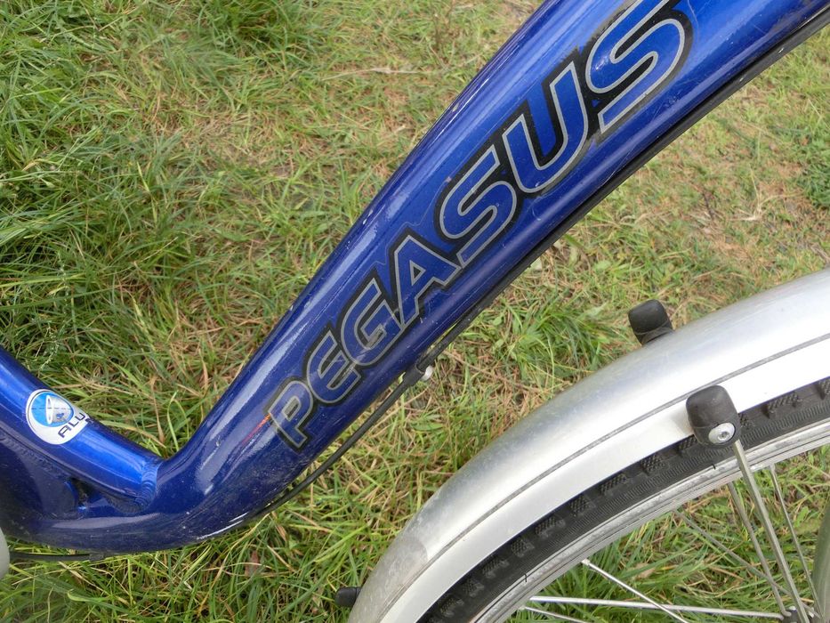 Rower damka 28 cali Szczecin Dąbie • OLX.pl