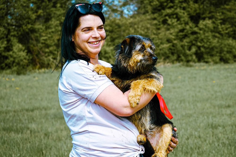 LASTKA - śliczna, niewielka, szorstkowłosa sunia