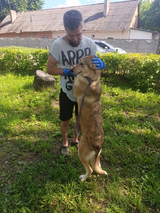 дівчинка Вайфай шукає родину