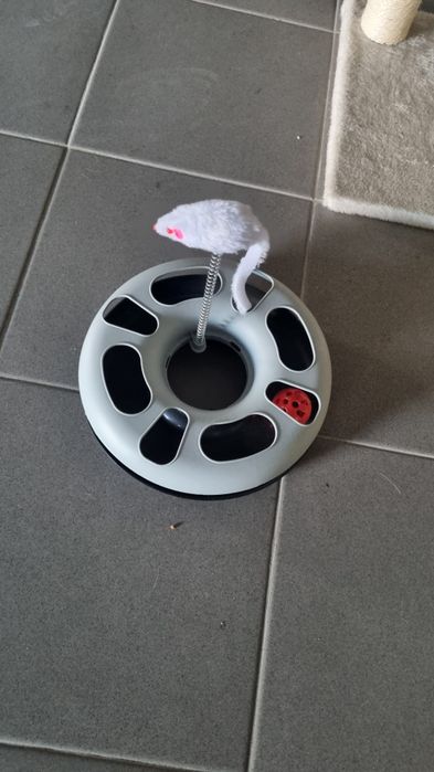 Brinquedos para gatos